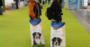 China International Pet Show mit Jubiläumsausgabe