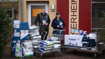 Hohe Spendenbereitschaft der Heimtierbranche