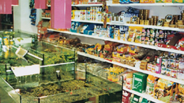 Zoo-Bartling ist wieder da