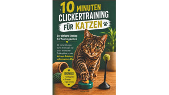 10 Minuten Clickertraining für Katzen 10 Minuten Clickertraining für Katzen