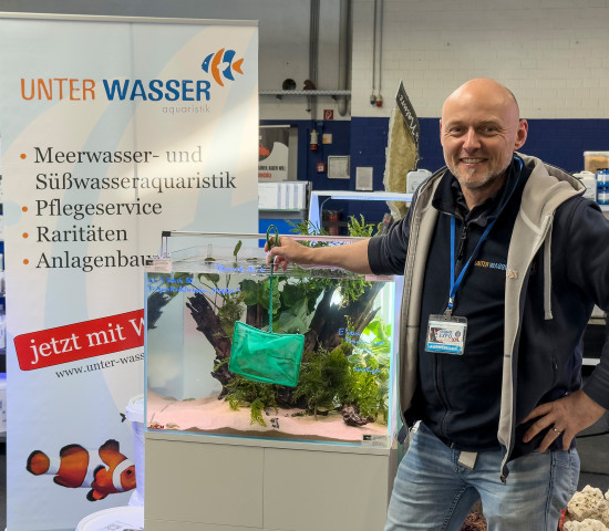 Unter Wasser Freiburg Unter Wasser Freiburg