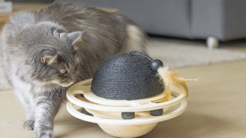 Weiter auf Wachstumskurs