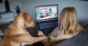 Takefive-Media stellt Haustier-Studie vor