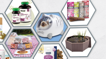 Produkte des Jahres 2025/2026 Produkte des Jahres 2025/2026