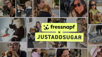 Justaddsugar hat Fressnapf gewonnen