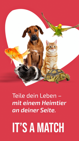 IVH-Kampagne