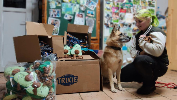 Die Spenden umfassten unter anderem Spielzeug, Hundeleinen, Kuscheldecken, Katzentoiletten und Näpfe.