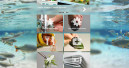 JBL verbessert Homepage