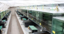 Wachstum bei NK Tropical Fish