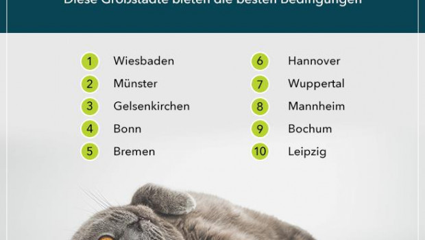 Ranking der katzenfreundlichsten Großstädte