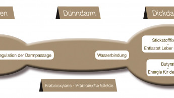 Spezialfaserprodukte vom Profi
