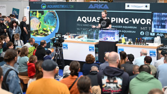 Szenetreffpunkt mit wachsendem Erfolg