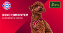 Bayern München und Hunter starten gemeinsame Kollektion