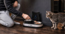 AI-Tails finanziert KI-Futterstation für Katzen über Kickstarter