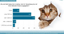 „Tierarztkosten für Katzen steigen rapide“
