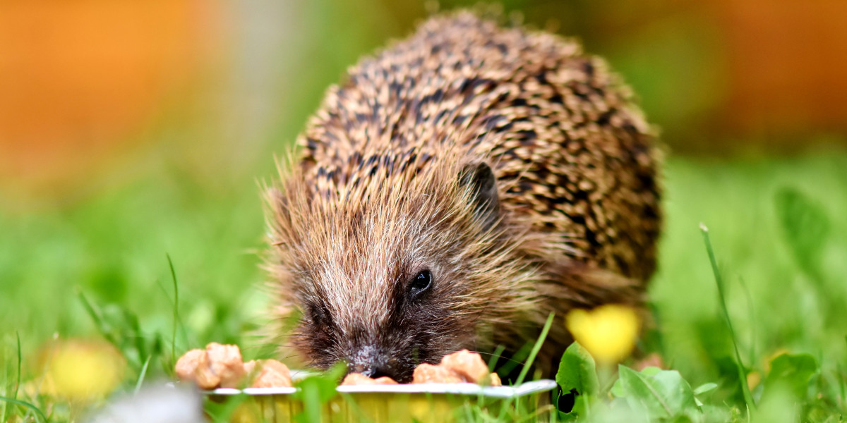 Für das Tierwohl im Garten
