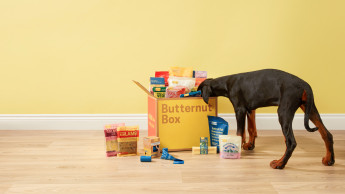 Personalisiertes Hundefutter