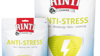 Futter für stressgeplagte Hunde