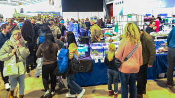 „Tolle Messe, tolles Publikum“