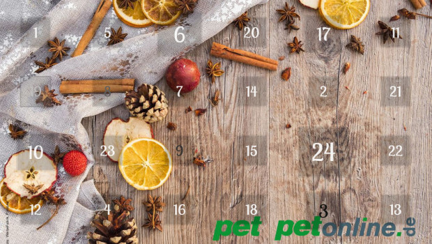 Adventskalender Adventskalender