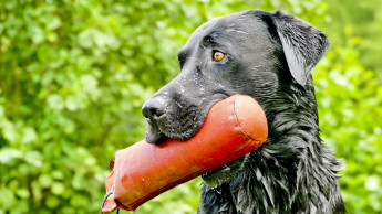 Sport, Spiel und tolle Umsätze