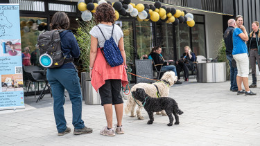 Weihnachtsmarkt für Hund und Mensch