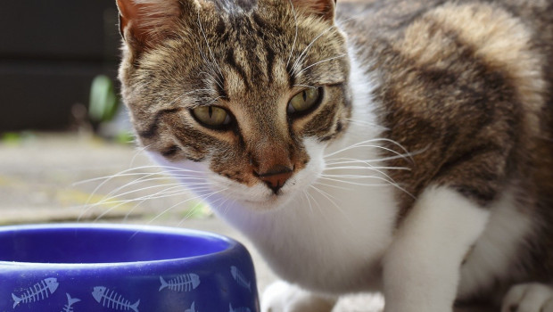 Dass Billigwaren von asiatischen Plattformen häufiger Schadstoffe aufweisen, ist durch Berichterstattung bekannt.