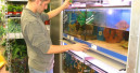Praktiker mit Aquaristik und Premium-Futter
