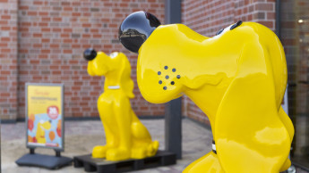 Das Futterhaus schließt Standort in Plauen