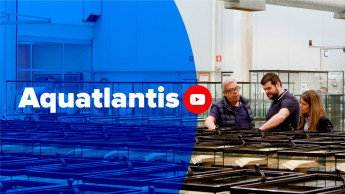 Aquatlantis in bewegten Bilder