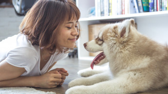 Corona-Meldepflicht für Heimtiere geplant