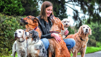 Emotionale Bindung an Hund und Katze nimmt weiter zu