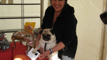 Buchpremiere und Hundechips