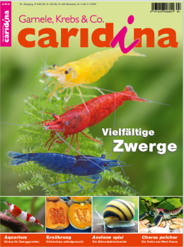 caridina 4/2015 caridina 4/2015