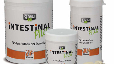 Gesunde Darmflora  