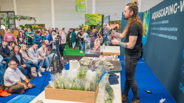 16.400 Besucher in Friedrichshafen