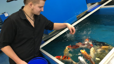 EFS lädt zur Teichmesse ein