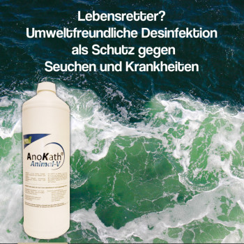 AnoKath, Desinfektionsmittel Animal-V