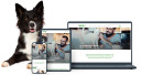 ZZF bringt neue Website ins Netz