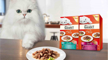 "Gourmet Mon Petit Duetti"