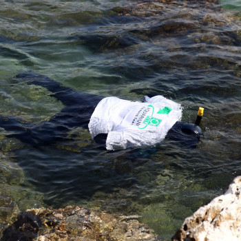 Taucher werden bei der JBL-Forschungsexpedition nach Australien auf ihre Kosten kommen. Taucher werden bei der JBL-Forschungsexpedition nach Australien auf ihre Kosten kommen.