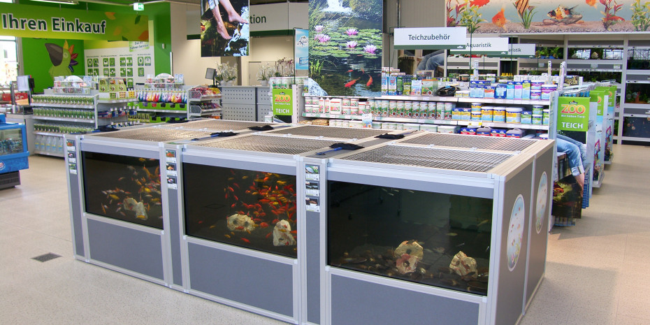 Gartenteich, Fische für den Gartenteich,  Dehner in Nohra-Ulla
