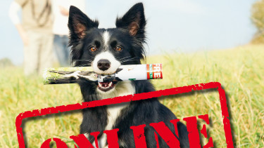 Fressnapf-Katalog im Internet