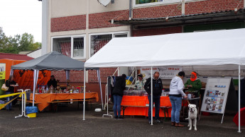 17. Karlsruher Tierschutztag bei Nelly's