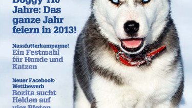 Informationsmagazin von Bozita