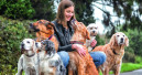 Emotionale Bindung an Hund und Katze nimmt weiter zu