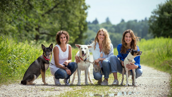 Pflanzliche Ernährung für den Hund