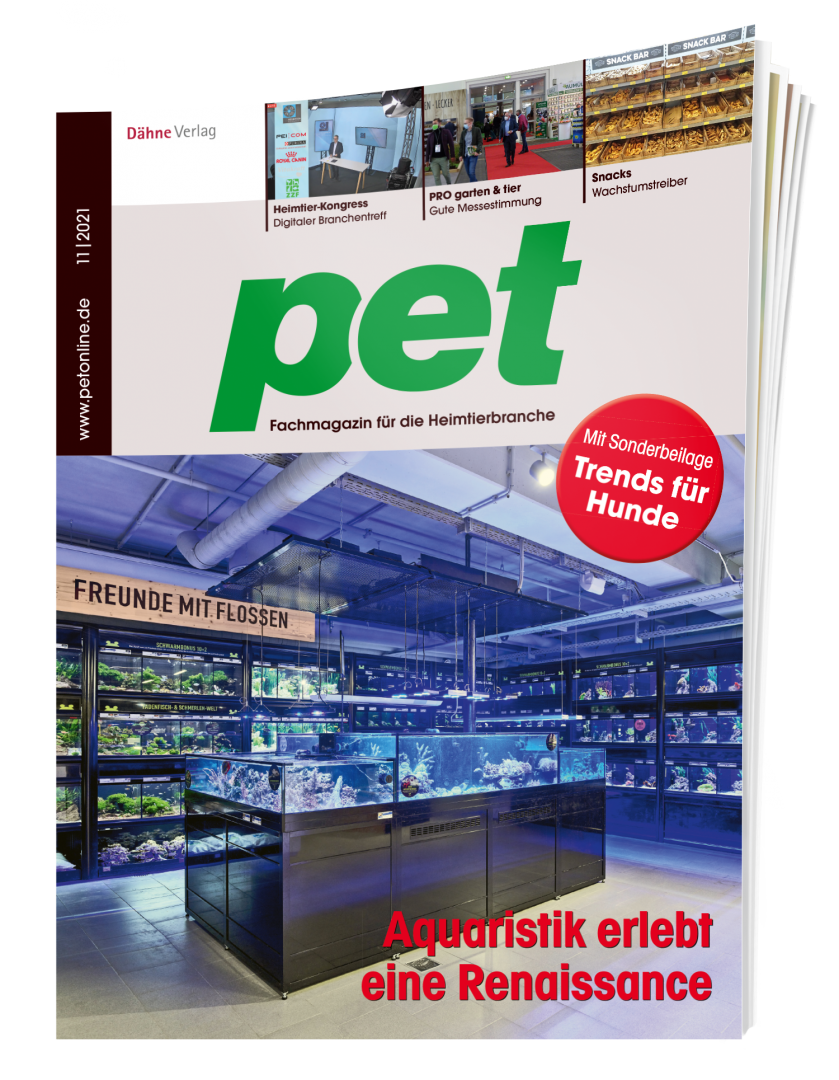 Ausgabe 11/2021