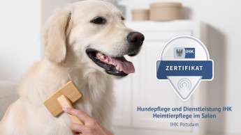 ZZF und IHK starten Qualifizierung für Hundefriseure