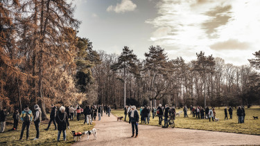 Zooplus und Bark Date bündeln Kräfte